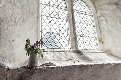 verd, porpra, flors de pètals, blanc, gerro, finestra, flors, al costat, flor, llum, ombra, edifici, Església, estructura, arquitectura, rosa, gerra, vell, pedra, repunta, paret, planta amb flors, planta, naturalesa, fragilitat, bellesa a la natura, a l'interior, dia, cap gent, vulnerabilitat, frescor, funció de construcció de parets, Color blanc, arranjament floral, flor de roses, taula, cap de flor, bouquet, 5K, CC0, domini públic, lliure de regalies