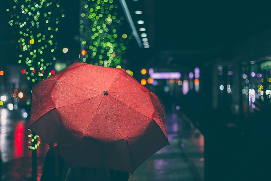 persona, vermell, paraigua, nit, foto, celebració, boke, llums, plovent, fosc, carrer, ciutat, urbà, estil de vida, pluja, protecció, temps, il·luminat, temporada de pluges, humit, gota de pluja, seguretat, centrar-se en primer pla, arquitectura, a l'aire lliure, aigua, naturalesa, cap gent, monsó, primer pla, equips d’il·luminació, 5K