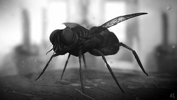 flyve, 3d, gengive, insekt, makro, rendering, dyr, fokus på forgrunden, dyre temaer, et dyr, dyr kropsdel, ingen mennesker, dyreliv, tæt på, dyr i naturen, hvirvelløse, indendørs, vand, natur, dag, selektiv fokusering, repræsentation, hvirveldyr, dyr hoved, 1080P, CC0, offentligt domæne, royaltyfrie