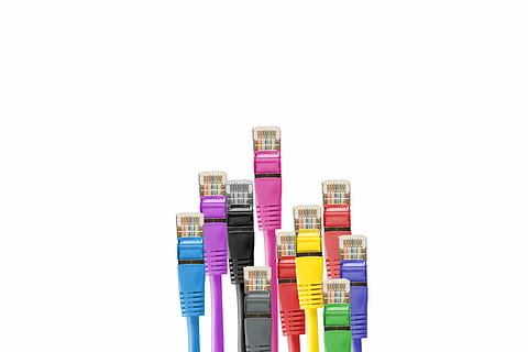 cable, connection, lan, lan cable, line, macro, network, network cables, network connector, patch cable, plug, white background, studio shot, indoors, cut out, multi colored, copy space, no people, close-up, still life, choice, group of objects, variation, pink color, container, large group of objects, purple, technology, business, stack, 5K, CC0, public domain, royalty free