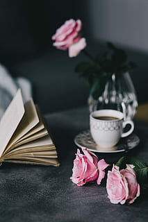 прекрасный, roseses, книга, кофе, Роза, розы, интерьер, отдыха, расслабиться, предметы первой необходимости, чтение, время, розовые розы, книги, чашка кофе, цветок, Таблица, букет, кружка, Цветок роза, романс, украшение, расположение, нет людей, розовый цвет, в помещении, лепесток, цветущее растение, завод, красота в природе, свежесть, природа, публикация, крупный план, натюрморт, уязвимость, хрупкость, выборочный фокус, головка цветка, цветочная композиция, 4K
