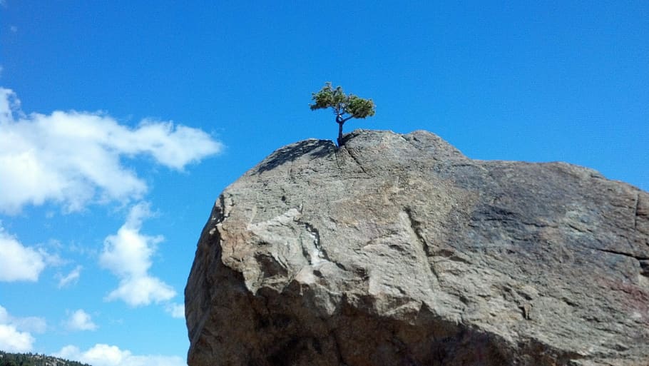 pedra grisa, arbre, rock, coratge, naturalesa, cel, blau, destaquen, extrem, estiu, desafiament, rock - object, a l'aire lliure, vista d’angle baix, dia, núvol - cel, sòlid, cap gent, planta, formació de roca, tranquil·litat, bellesa a la natura, muntanya, textura, geologia, formació, erosionat, cim de muntanya, 2K