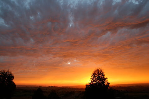 Sonnenuntergang, Himmel, Feuer, Wolkengebilde, Abend, Wolken, Atmosphäre, Horizont, szenisch, Sonnenuntergangsjäger, wunderschönen, Sonnenuntergang Fotografie, tolle, Blick auf den Sonnenuntergang, Sonnenuntergang Farben, goldener Sonnenuntergang, das Leuchten des Sonnenuntergangs, Sonnenuntergang Licht, romantisch, Silhouette, Herrlich, Abendhimmel, wolke - himmel, Szenen - Natur, Baum, Schönheit in der Natur, Pflanze, Ruhe, ruhige Szene, Landschaft, Natur, keine Leute, Umgebung, orange Farbe, idyllisch, Dramatischer Himmel, Nicht-städtische Szene, draußen, Wachstum, 2K, CC0, gemeinfrei, lizenzfrei