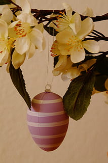 Ostern, Gruß, Strauß, Ei, Ostergruß, Osterstrauß, Osterei, Frohe Ostern, Zoll, bemaltes Ei, Dekoration, Deko, Tradition, Frühling, Ast, Osterzweig, Osterthema, Blume, Zerbrechlichkeit, Blütenkopf, Schönheit in der Natur, blühen, Blütenblatt, blühende Pflanze, Pflanze, Nahansicht, Frische, Verletzlichkeit, Wachstum, Natur, keine Leute, drinnen, Vase, hängend, Fokus auf den Vordergrund, Blütenstand, weiße Farbe, Blumenschmuck, Kirschblüte, 5K, CC0, gemeinfrei, lizenzfrei