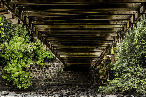 tiltas, architektūra, kraštovaizdį, nėra žmonių, augalų, kelias pirmyn, pastatyta struktūra, kryptis, medis, dieną, transportavimas, pobūdį, lauke, augimą, ryšį, tunelis, tiltas - žmogaus sukurta struktūra, metalo, geležinkelių transportu, atsisakyta, saulės šviesa, 4K, CC0, Viešasis domenas, nemokamai
