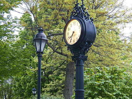 schwarz, Analoge Standuhr aus Metall, Baum, Uhr, Zeit, Std, Sekunden, Protokoll, sehen, Uhren, Bäume, Lampe, Straßenlampe, Landschaft, Bar Harbor, Maine, Mount Desert Island, keine Leute, Strassenlicht, altmodisch, draußen, Pflanze, Flachwinkelansicht, Lichtanlage, grüne Farbe, Natur, Tag, Wachstum, Straße, Metall, Pole, Richtigkeit, Technologie, Land, elektrische Lampe, 1080P, CC0, gemeinfrei, lizenzfrei