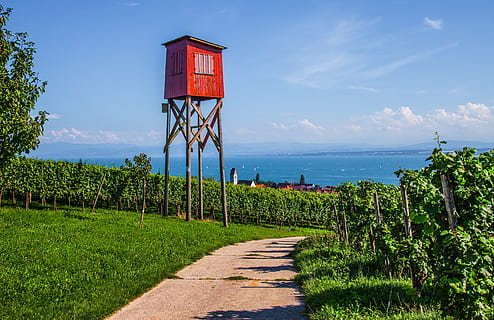 vigneto, Torre, rosso, costruzione, torre rossa, lago di Costanza, pianta, cielo, natura, acqua, mare, terra, crescita, bellezza nella natura, giorno, colore verde, la tranquillità, scenics - natura, nessuno, erba, sentiero, scena tranquilla, struttura costruita, albero, nuvola - cielo, all'aperto, orizzonte sull'acqua, 5K, CC0, dominio pubblico, privo di copyright