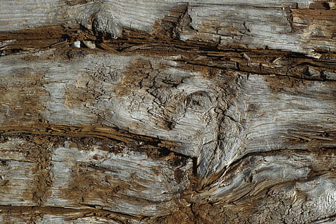 braune Baumplatte, Holz, Textur, Muster, Holz - Material, Baum, Vollbild, Hintergründe, texturiert, Baumstamm, Nahansicht, braun, Kofferraum, keine Leute, Rau, Tag, draußen, natürliches Muster, Pflanzenrinde, Pflanze, Natur, verwittert, Borke, Holzmaserung, 4K, CC0, gemeinfrei, lizenzfrei
