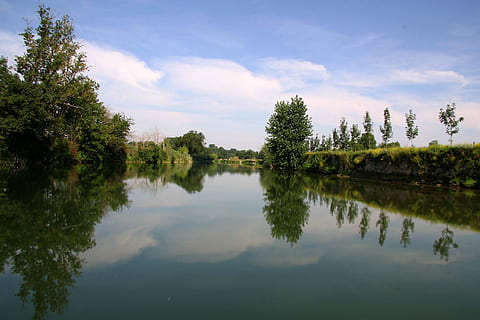 odrazy, stromy, řeka, zrcadlo, voda, charente, strom, odraz, rostlina, jezero, klid, nebe, scenics - příroda, klidné scény, krása v přírodě, mrak - nebe, Příroda, nikdo, nábřeží, zelená barva, den, růst, mimoměstské scény, venku, odraz jezero, 1080P, CC0, veřejná doména, bez autorských práv