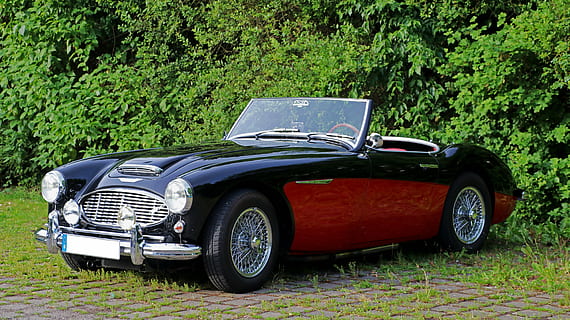 schwarz, rot, mgb roadster, Auto, Oldtimer, mg, klassisch, Automobil, Fahrzeuge, pkw, Personenkraftwagen, Oldtimer Automobil, Luxus, Landfahrzeug, Retro-Stil, Chrom, altmodisch, Transport, Sportwagen, Eleganz, Transportmittel, Pflanze, Kraftfahrzeug, Tag, Baum, keine Leute, Natur, stationär, Land, Wachstum, Feld, grüne Farbe, draußen, Parkplatz, Rad, 5K, CC0, gemeinfrei, lizenzfrei