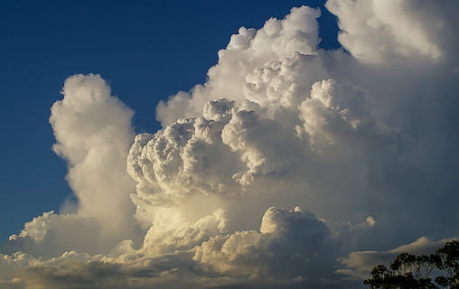 Himmel, Wolken, Sonnenlicht, hellblau, Blau grau, Blau, grau, Weiß, Australien, wolke - himmel, Natur, keine Leute, draußen, Wolkengebilde, Schönheit in der Natur, Umgebung, Szenen - Natur, Tag, Atmosphäre, idyllisch, flauschige, cumulonimbus, Wind, Hintergründe, Weichheit, bedrohlich, 2K, CC0, gemeinfrei, lizenzfrei