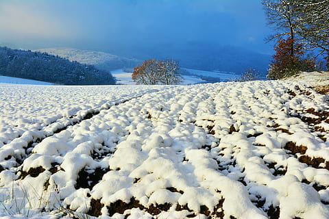 vinterlige, sne, vinter, ackerfurchen, snedækket, Skov, vinter skov, vintervejr, kold temperatur, rolig scene, skønhed i naturen, ro, træ, plante, scenics - natur, Frosset, natur, ingen mennesker, himmel, dækker, dag, hvid farve, sky - himmel, landskab, vand, kold, 5K, CC0, offentligt domæne, royaltyfrie