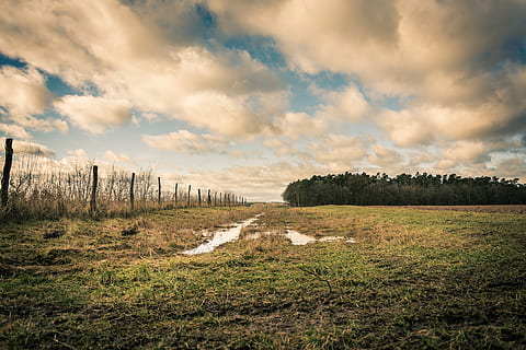 paesaggio, nuvole, vista, lontano, alberi, Arancione chiaro, atmosfera, prato, ombra, natura, panoramico, luce, sole, foresta, cielo, umore, autunno, tempo metereologico, luci, mattina, verde, nuvola - cielo, pianta, erba, la tranquillità, scena tranquilla, scenics - natura, terra, bellezza nella natura, nessuno, ambiente, campo, scena non urbana, albero, giorno, acqua, all'aperto, colore verde, 5K, CC0, dominio pubblico, privo di copyright