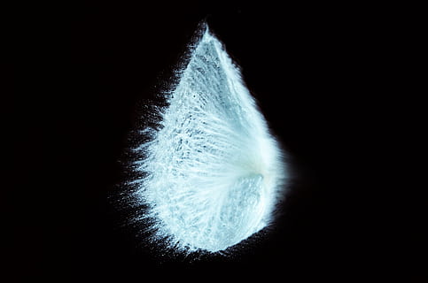 larme, en forme de, blanc, poudre, goutte de plume blanche, organisme microscopique, noir, abstrait, la nature, grossissement, fermer, science, macro, arrière-plans, maladie, la biologie, santé et médecine, fond noir, exploser, personne, astronomie, prise de vue en studio, à l'intérieur, mouvement, eau, objet unique, destruction, fragilité, impact, forme, vulnérabilité, en plein air, douceur, 2K, CC0, domaine public, libre de droits