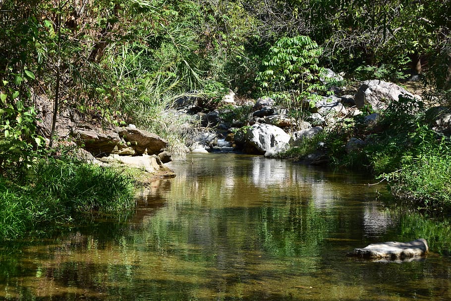 řeka, zátoka, potok, odraz, Příroda, nikdo, rostlina, venku, voda, strom, les, krása v přírodě, pevný, Skála, klid, růst, rock - objekt, den, nábřeží, zelená barva, přistát, scenics - příroda, jezero, tekoucí, tekoucí voda, 5K