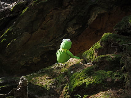 kermit, granota, verd, descans, trencar, naturalesa, muntanya, a l'aire lliure, rock - object, rock, sòlid, temes d'animals, color verd, animal, cap gent, representació animal, joguina, dia, representació, fauna animal, un animal, vertebrats, vista lateral, formació de roca, medi ambient, rèptil, 4K, CC0, domini públic, lliure de regalies