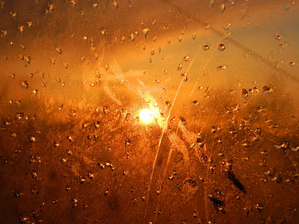 sunset, drops, evening, drop, nature, wet, backgrounds, yellow, water, no people, rain, full frame, glass - material, window, transparent, sky, orange color, indoors, illuminated, sun, raindrop, 4K, CC0, public domain, royalty free