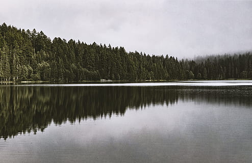 Landschaft, Natur, Himmel, Wasser, Wolken, Nadelbaum, Tageslicht, Umgebung, Wald, HD Wallpaper, See, Seeufer, Naturtapete, draußen, Park, Reflexionen, szenisch, Bäume, Baum, Pflanze, Szenen - Natur, ruhige Szene, Ruhe, Reflexion, Schönheit in der Natur, keine Leute, Kiefer, Kiefernwald, Land, Pinaceae, 5K