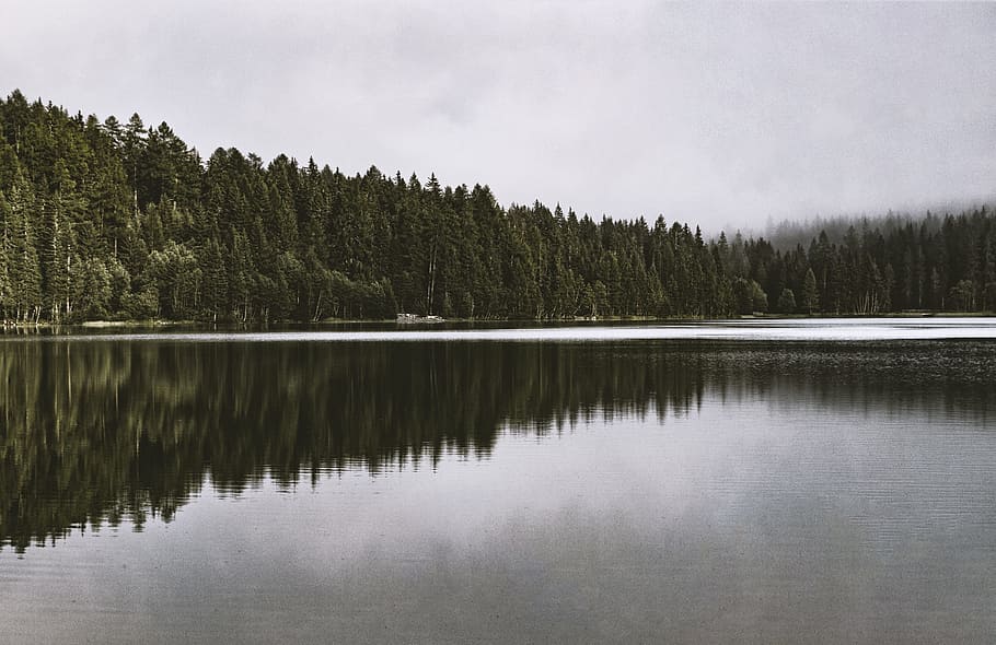 paisatge, naturalesa, cel, aigua, núvols, conífera, la llum del dia, medi ambient, bosc, fons de pantalla hd, llac, vora del llac, fons de pantalla de la natura, a l'aire lliure, parc, reflexions, escènic, arbres, boscos, arbre, planta, escenics - natura, escena tranquil·la, tranquil·litat, reflexió, bellesa a la natura, arbre de coníferes, cap gent, pi, bosc de pi, terra, pinàcies, 5K