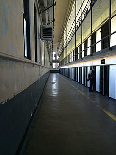 black steel door, prison, jail, cell, cell block, crime, criminal, prisoner, punishment, justice, security, bars, lockup, convict, inmate, trapped, imprison, architecture, built structure, building, indoors, direction, the way forward, window, arcade, corridor, empty, diminishing perspective, flooring, day, wall - building feature, footpath, people, education, 2K, CC0, public domain, royalty free