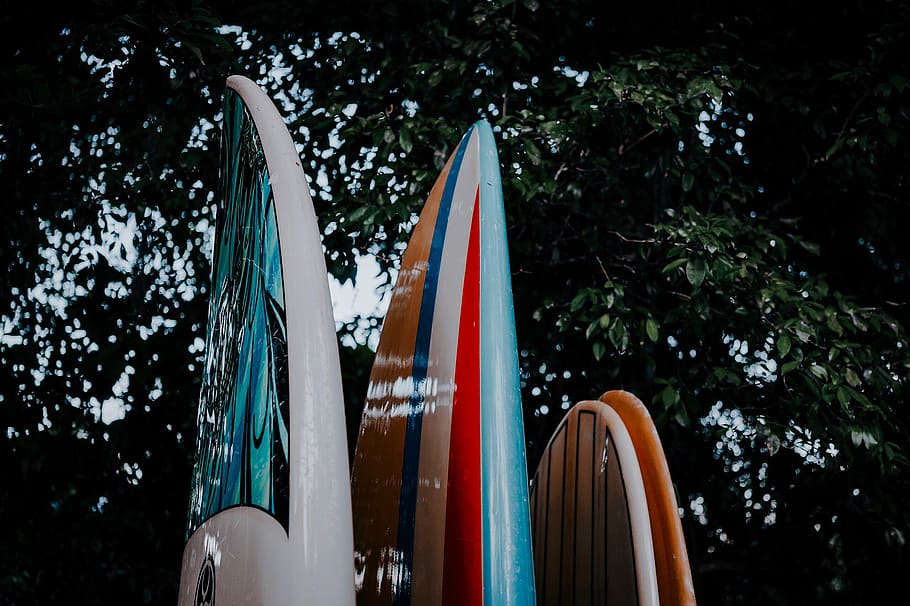 tres taules de surf variades, pissarra, navega, arbre, jungla, a l'aire lliure, aquachara, platja, planta, naturalesa, cap gent, creixement, dia, vista d’angle baix, multicolor, moviment, parc, celebració, arquitectura, creativitat, vermell, primer pla, parc - l'home va fer espai, art i artesania, material de fusta, centrar-se en primer pla, 2K