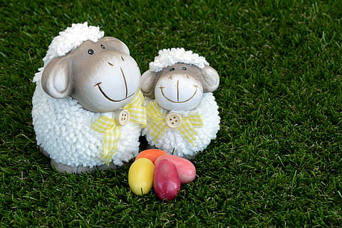 dois, branco, estatueta de ovelhas, ovelha, Páscoa, ovos de açucar, decoração, saudação de páscoa, Primavera, deco, decoração de páscoa, pressa, cartão, personalizadas, saudações de páscoa, celebração da páscoa, doces, figuras cerâmicas, plantar, grama, representação, ninguém, cor verde, natureza, representação animal, dia, brinquedo de pelúcia, brinquedo, criatividade, visão de alto ângulo, campo, fechar-se, arte e Artesanato, grupo de objetos, amarelo, ao ar livre, Comida, 5K, CC0, domínio público, royalty free