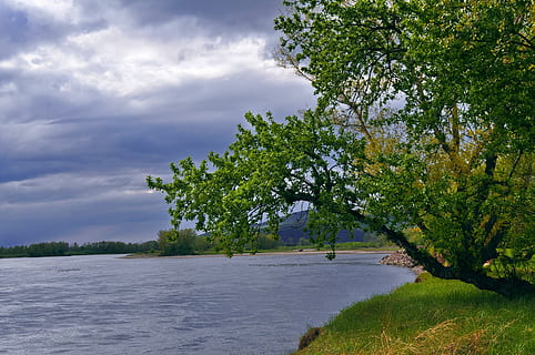 riu, paisatge, tempesta, núvols, cel, herba, arbre, fulles, branques, estiu, verd, planta, núvol - cel, creixement, bellesa a la natura, naturalesa, tranquil·litat, aigua, escena tranquil·la, escenics - natura, color verd, dia, cap gent, terra, escena no urbana, a l'aire lliure, llac, idíl·lic, 1080P, CC0, domini públic, lliure de regalies