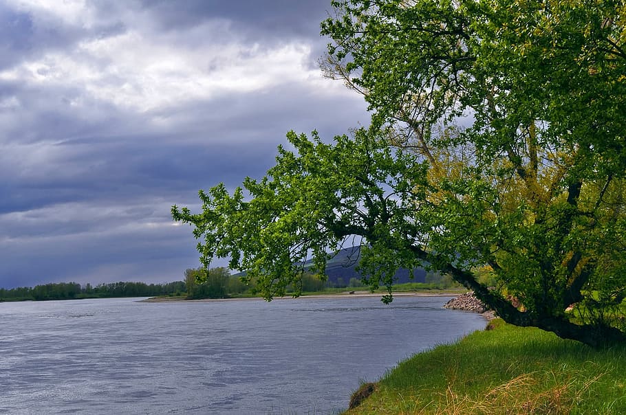 riu, paisatge, tempesta, núvols, cel, herba, arbre, fulles, branques, estiu, verd, planta, núvol - cel, creixement, bellesa a la natura, naturalesa, tranquil·litat, aigua, escena tranquil·la, escenics - natura, color verd, dia, cap gent, terra, escena no urbana, a l'aire lliure, llac, idíl·lic, 1080P
