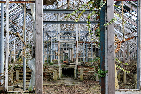 tuin kamer foto, grijs, wit, omlijst, ingenomen, dag, verlaten, broeikas, constructie frame, bouwindustrie, ingebouwde structuur, industrie, bouwplaats, architectuur, incompleet, gebouw - activiteit, technologie, montuur, materiaal, geen mensen, buitenkant van het gebouw, buitenshuis, fabriek, gebouw, boom, groei, metaal, natuur, beschadigde, oud, verslechtering, afwijzen, oververmoeid, hout - materiaal, verouderd, rommelig, 4K, CC0, publiek domein, royaltyvrij