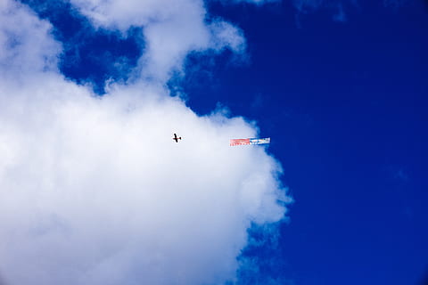 luft reklame, Andet, flyvende, himmel, blå, luft, natur, sky - himmel, fly, luftfartøj, udendørs, sommer, fugl, dag, cloudscape, luft show, røg - fysisk struktur, hastighed, transportmidler, transportform, på farten, bevægelse, rejse, Midt i luften, stunt, ingen mennesker, kunstflyvning, dampspor, luftfartsindustrien, 4K, CC0, offentligt domæne, royaltyfrie