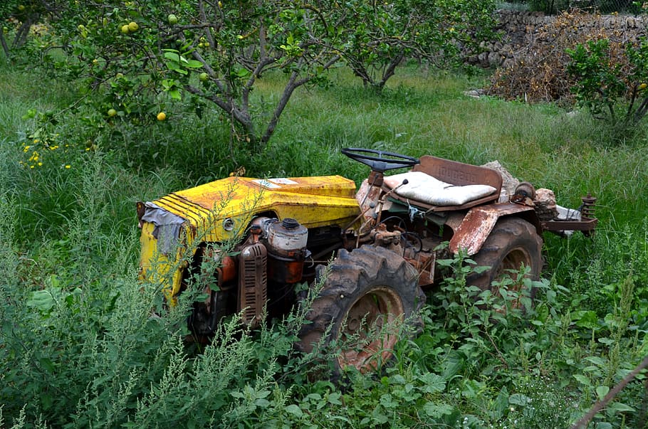 tracktor, ferralla, tractor, vell, obsoleta, träker, planta, transport, abandonat, manera de transport, vehicle terrestre, terra, color verd, herba, arbre, espatllat, camp, dia, naturalesa, creixement, equipament agrícola, maquinària agrícola, cap gent, aixafar, deteriorament, a l'aire lliure, roda, arruïnat, 4K