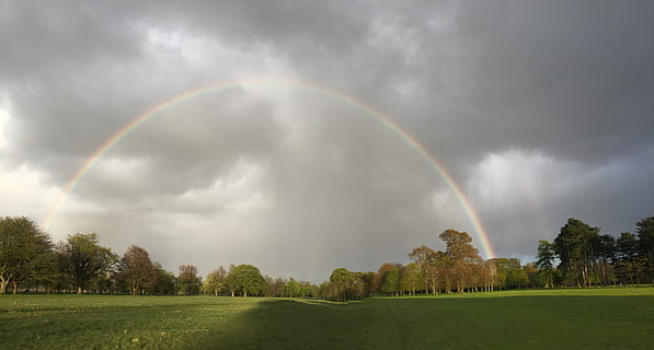 Regenbogen, Wolken, Natur, Licht, Wetter, doppelter Regenbogen, Schönheit in der Natur, wolke - himmel, szenen, Pflanze, Baum, Himmel, Szenen - Natur, Umgebung, Gras, Sturm, Landschaft, Dramatischer Himmel, mehrfarbig, Land, Spektrum, keine Leute, Ruhe, Regen, draußen, Meteorologie, 5K, CC0, gemeinfrei, lizenzfrei