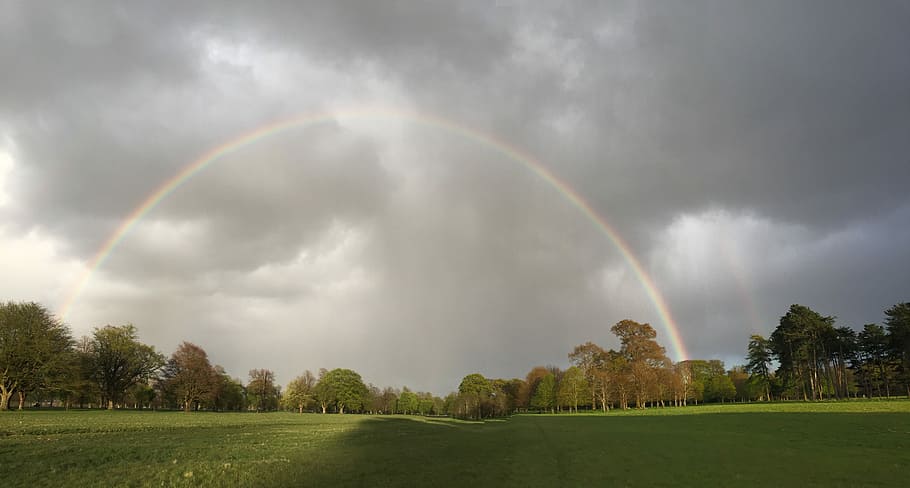 Regenbogen, Wolken, Natur, Licht, Wetter, doppelter Regenbogen, Schönheit in der Natur, wolke - himmel, szenen, Pflanze, Baum, Himmel, Szenen - Natur, Umgebung, Gras, Sturm, Landschaft, Dramatischer Himmel, mehrfarbig, Land, Spektrum, keine Leute, Ruhe, Regen, draußen, Meteorologie, 5K