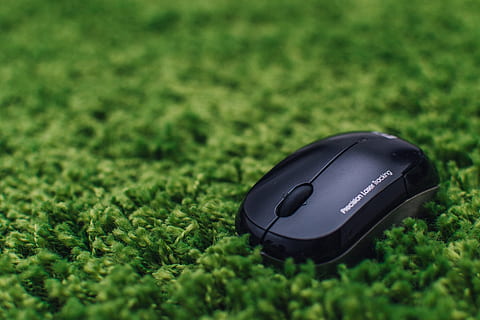 Maus, Geschäft, Technologie, Computer, Grün, Computermaus, Pflanze, grüne Farbe, Kommunikation, schwarze Farbe, keine Leute, Computerausrüstung, kabellose Technologie, Verbindung, Gras, Ausrüstung, einzelnes Objekt, Natur, Nahansicht, selektiver Fokus, draußen, Telekommunikationsausrüstung, Wachstum, Freisprecheinrichtung, persönliches Accessoire, elektrische Ausrüstung, globale Kommunikation, 1080P, CC0, gemeinfrei, lizenzfrei