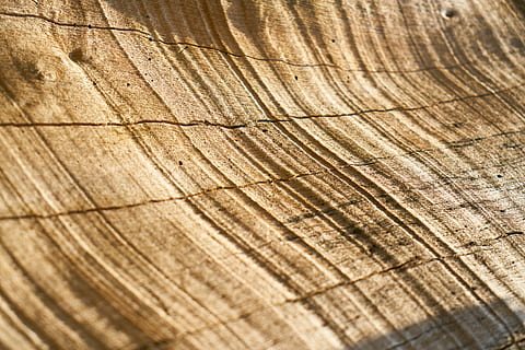 sem título, abstrato, Castanho, árvore, madeira, padronizar, textura, origens, velho, fundo, placas de fibra de madeira, ninguém, copie o espaço, parquete, horizontal, mesa, fotos detalhadas, macro, detalhe, pavimento, decoração, motivo, perspectiva, amarelo, mobília, natural, imagem colorida, lindo, padrão abstrato, fotografia, fechar-se, foco seletivo, As fotos, cor, papel de parede, madeira - material, quadro completo, texturizado, dia, natureza, rude, ao ar livre, visão de alto ângulo, luz solar, plantar, intemperizado, padrão natural, nível de superfície, grão de madeira, latido, concêntrico, 5K, CC0, domínio público, royalty free