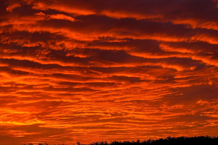 posta de sol, vermell, taronja, núvols, cel, vermell, taronja, gris, Firey, horitzó, color taronja, cel dramàtic, núvol - cel, naturalesa, fons, bellesa a la natura, escenics - natura, tranquil·litat, escena tranquil·la, idíl·lic, cap gent, color vibrant, silueta, medi ambient, por, llum solar, sol, a l'aire lliure, cel romàntic, fons abstractes, meteorologia, brillant, 2K