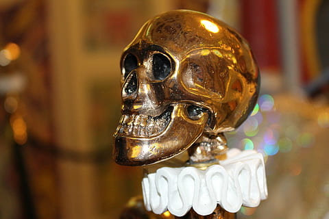 skull and crossbones, gold, object, close-up, no people, representation, focus on foreground, human representation, art and craft, indoors, gold colored, single object, creativity, celebration, antique, craft, selective focus, male likeness, figurine, mask, hanging, ornate, silver colored, 5K, CC0, public domain, royalty free