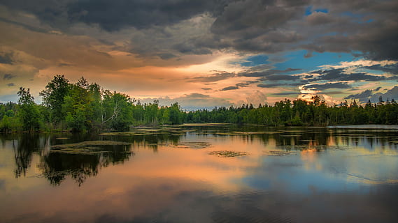 verde, alberi di foglie, corpo, acqua, d'oro, ora, lago, alberi, paesaggio, natura, sfondo, sfondo del desktop, isola, Lichtspiel, abendstimmung, botanica, ovviamente, lunga esposizione, foresta, panoramico, estate, cielo, mirroring, nuvole, blu, luce, riflessi, visione, panorama, bel tempo, bel posto, romanza, riposo, contrasto, umore, atmosferico, ombra, bellissimo, tensioni, ancora, brughiera, rilassare, godere, arancia, riflessione, la tranquillità, scena tranquilla, nuvola - cielo, bellezza nella natura, albero, scenics - natura, tramonto, pianta, lungomare, scena non urbana, nessuno, idilliaco, colore arancione, crescita, all'aperto, lago di riflessione, 5K, CC0, dominio pubblico, privo di copyright