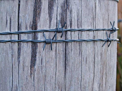 filo spinato, barbiglio, filo, inviare, di legno, recinto, recinzione, acuto, legno - materiale, nessuno, sicurezza, metallo, avvicinamento, protezione, barriera, giorno, confine, legato, strutturato, all'aperto, modello, concentrarsi sulle conoscenze acquisite, natura, messa a fuoco selettiva, 2K, CC0, dominio pubblico, privo di copyright