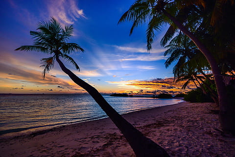 mer, Aube, la nature, ciel, plage, calme, des nuages, cocotiers, crépuscule, trace de pas, idyllique, océan, palmiers, paradis, paisible, silencieux, le sable, scénique, vue panoramique, paysage marin, rivage, silhouette, lever du soleil, le coucher du soleil, tranquille, tropical, vacances, eau, palmier, arbre, climat tropical, beauté dans la nature, paysages - nature, terre, tranquillité, scène tranquille, nuage - ciel, horizon, plante, horizon au-dessus de l'eau, personne, cocotier, en plein air, arbre tropical, feuille de palmier, 2K, CC0, domaine public, libre de droits