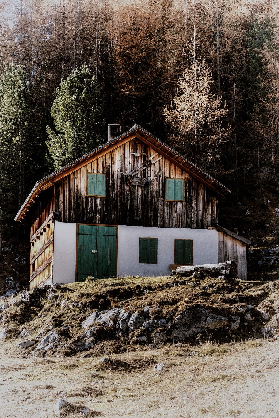 marrón, blanco, pintado, casa, bosque, tiempo de día, de madera, frente, arboles, edificio, chalet, cabina, árbol, rock, Iniciar sesión, granero, puerta, presentar, naturaleza, otoño, sombrero, arquitectura, estructura construida, planta, exterior del edificio, nadie, tierra, día, nieve, invierno, campo, abandonado, al aire libre, temperatura fría, crecimiento, material de madera, antiguo, 5K