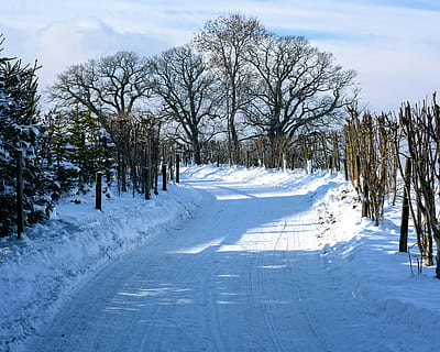 hivern, neu, lluny, carretera, arbusts, arbres, blanc, fred, nevat, màgia d'hivern, paisatge, temperatura de fred, arbre, relliscós, congelat, planta, naturalesa, Color blanc, cobertura, arbre nu, el camí a seguir, dia, direcció, cel, tranquil·litat, escenics - natura, bellesa a la natura, escena tranquil·la, cap gent, núvol - cel, a l'aire lliure, muntanya nevada, 4K, CC0, domini públic, lliure de regalies
