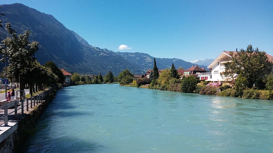 elvețian, lac, doc, Munte, apă, scenics, în aer liber, malul mării, copac, cer, scenice - natura, plantă, de munte, natură, arhitectură, frumusețe în natură, albastru, teren, exteriorul clădirii, construită, nici o persoana, clădire, zi, o scenă liniștită, Brad, conifer, 4K
