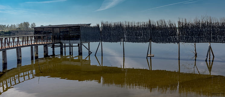 Tor, Pfad, Schatten, Glück, Soledad, Park, Natur, Folgen, gehen, Wandern, Landschaft, Grün, Kofferraum, Herbst, Wald, Baum, ländlich, rustikal, historisch, Brücke, Lagune, See, Angeln, Wasser, Spanien, Fluss, Himmel, Nachmittag, Reflexion, Reservoir, Moor, Licht, blauer Himmel, Ente, Sommer-, Tag, Wolken, Ruhe, Sonne, Horizont, Sonnenuntergang, Hintergrundbildschirm, Strand Sonnenuntergang, keine Leute, die Architektur, Schönheit in der Natur, gebaute Struktur, wolke - himmel, Pflanze, ruhige Szene, Reiseziele, Szenen - Natur, draußen, Nadelbaum, Reflexionssee, 5K, CC0, gemeinfrei, lizenzfrei