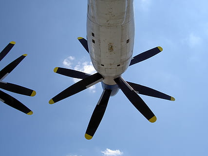 Propeller, an-22, Flugzeug, doppelt, Motor, Leistung, Transport, Luftfahrzeug, Himmel, fliegend, Transportmittel, Natur, in der Luft, Tag, Flachwinkelansicht, keine Leute, draußen, Reise, Verkehrsflugzeug, Blau, Luft-und Raumfahrtindustrie, wolke - himmel, Sonnenlicht, Bewegung, unterwegs, Verlassen, direkt darunter, Ankunft, 2K, CC0, gemeinfrei, lizenzfrei