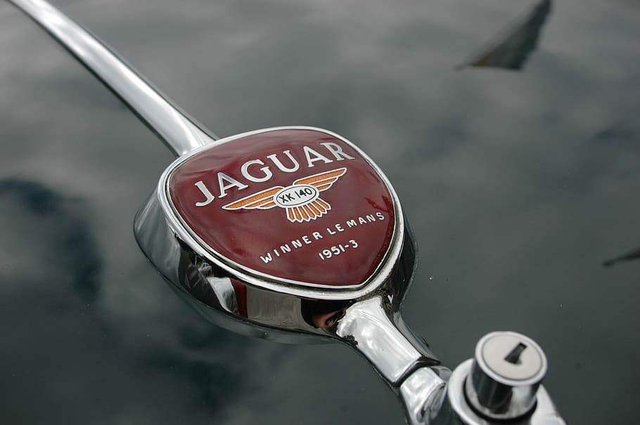 jaguár, auto, oldtimer, vozidlo, klasický, obnovena, drahý, auto snů, loga, značka, sportovní auto, chrom, automobilového průmyslu, staré auto, rarita, luxus, nostalgie, symbol, detail, nikdo, den, venku, vysoký úhel pohledu, studio shot, zdravotnictví a lékařství, lékařské vybavení, uvnitř, kov, barevné pozadí, šedá, jeden objekt, jídlo a pití, západní skript, sdělení, text, technologie, průmysl, podnikání, modré pozadí, nádobí, stříbrné barvy, 2K