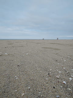 vanföreställningar, badning, strand, skal, sandig, badstrand, vinterhav, sand, himmel, hav, natur, horisont över vatten, landa, horisont, skönhet i naturen, lugn, scenics - natur, vatten, lugn plats, moln - himmel, dag, icke-urbana scenen, inget folk, miljö, utomhus, 2K, CC0, offentligt domän, royaltyfria