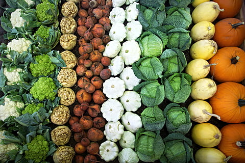 Fotografie, Chinakohl, Orange, Kürbis, Weiß, quetschen, Grün, Brokkoli, Gemüse, Blumenkohl, Kohl, Sellerie, Hintergrund, Stillleben, Essen und Trinken, Lebensmittel, Obst, gesundes Essen, große gruppe von gegenständen, Frische, Wohlbefinden, Vollbild, Markt, Fülle, Wahl, Variation, Verkauf, Hintergründe, grüne Farbe, Marktstand, keine Leute, zu verkaufen, organisch, Verkaufsdisplay, 5K, CC0, gemeinfrei, lizenzfrei