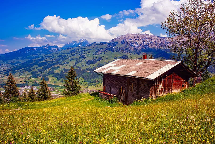 fusta, paisatge, muntanyes, cel, graner, edifici, cabina, núvols, coníferes, camp, avets, flors, herba, casa, refugi, idíl·lic, gespa, prat, a l'aire lliure, pastures, pacífica, pins, plantes, muntanya rocosa, sostre, rural, escènic, arbres, flors silvestres, muntanya, estructura construïda, planta, terra, arquitectura, núvol - cel, bellesa a la natura, Serra, escenics - natura, naturalesa, medi ambient, exterior de l'edifici, arbre, cap gent, 1080P