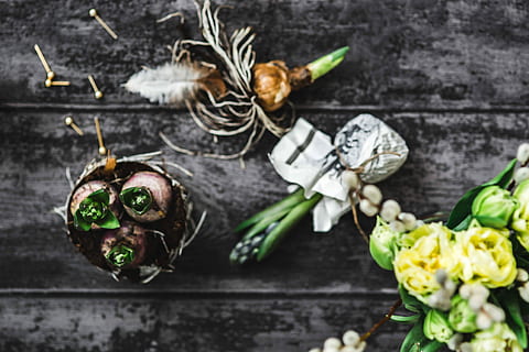 making, little, ornamental, seedling, small, jar, Woman, plant, decoration, ornament, planting, crafting, adornment, wood - Material, bouquet, food, rustic, table, leaf, close-up, no people, vegetable, flower, day, healthy eating, freshness, flowering plant, food and drink, high angle view, nature, indoors, beauty in nature, still life, focus on foreground, herb, flower head, 4K